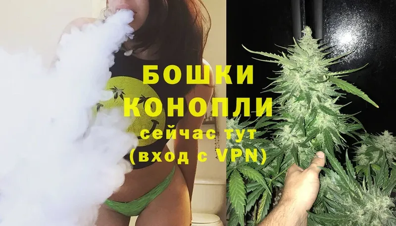 Бошки марихуана SATIVA & INDICA  купить  цена  ссылка на мегу tor  Нестеровская 